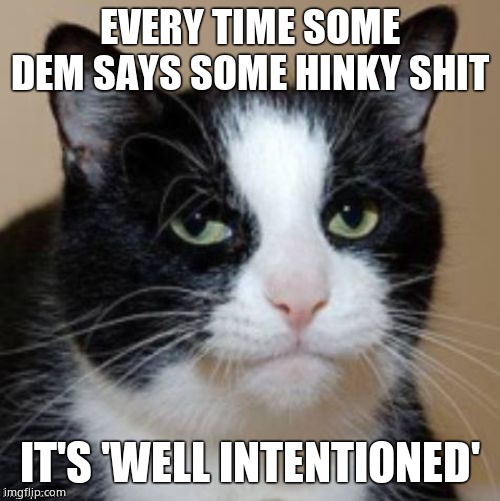 Too much cat | EVERY TIME SOME DEM SAYS SOME HINKY SHIT IT'S 'WELL INTENTIONED' | image tagged in too much cat | made w/ Imgflip meme maker