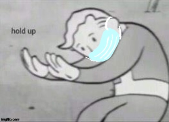 fallout hold up | image tagged in fallout hold up | made w/ Imgflip meme maker