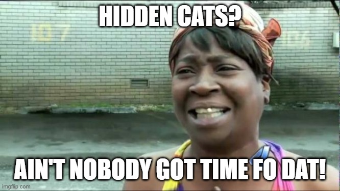 Ain't nobody got time for that. | HIDDEN CATS? AIN'T NOBODY GOT TIME FO DAT! | image tagged in ain't nobody got time for that | made w/ Imgflip meme maker