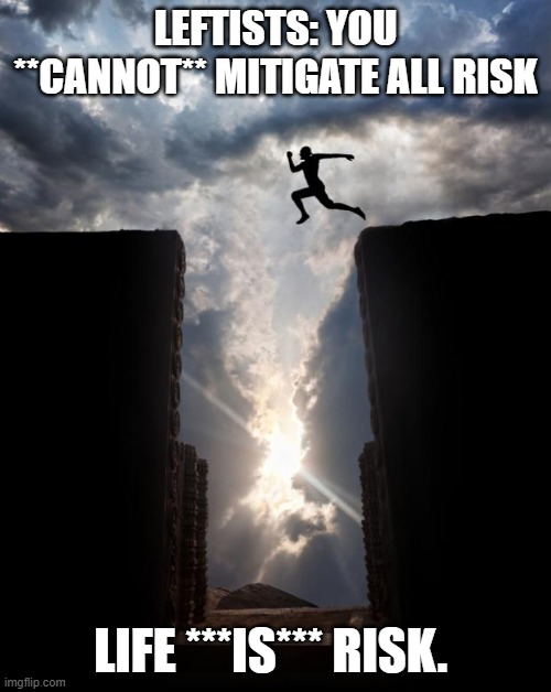 It's Just a LITTLE Liberty... | LEFTISTS: YOU **CANNOT** MITIGATE ALL RISK; LIFE ***IS*** RISK. | image tagged in risky jump,liberty,for,security | made w/ Imgflip meme maker
