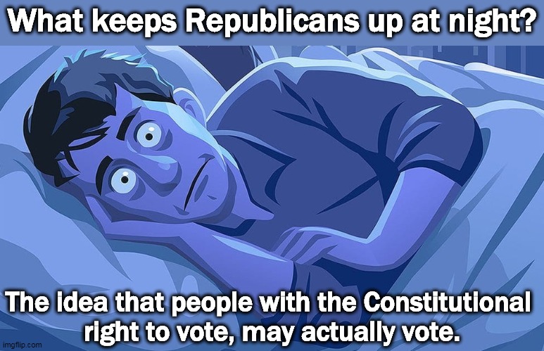 How dare those people try to vote, even if they have the right to? We must make up a bullshit reason to stop them! | What keeps Republicans up at night? The idea that people with the Constitutional 
right to vote, may actually vote. | image tagged in republicans,vote,phony,voter fraud,dead voters,bullshit | made w/ Imgflip meme maker