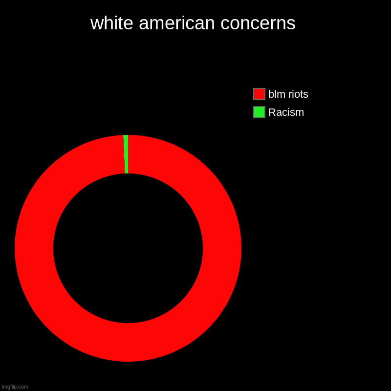 white american concerns | Racism, blm riots | image tagged in charts,donut charts | made w/ Imgflip chart maker