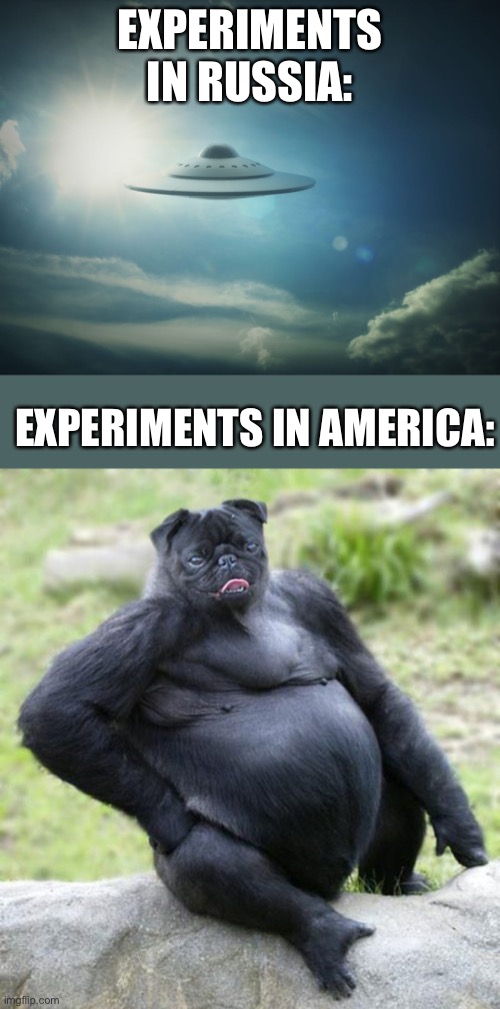 Experiments | EXPERIMENTS IN RUSSIA:; EXPERIMENTS IN AMERICA: | made w/ Imgflip meme maker