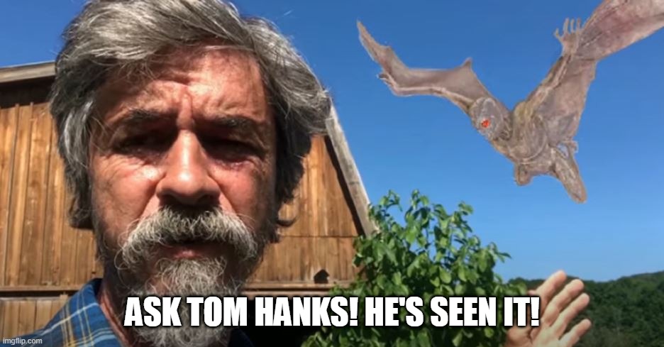 Peter Caine Dog Training - Giant Bat | ASK TOM HANKS! HE'S SEEN IT! | image tagged in peter caine dog training - giant bat | made w/ Imgflip meme maker