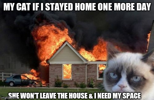 Burn Kitty | MY CAT IF I STAYED HOME ONE MORE DAY; SHE WON'T LEAVE THE HOUSE & I NEED MY SPACE | image tagged in memes,burn kitty,grumpy cat | made w/ Imgflip meme maker