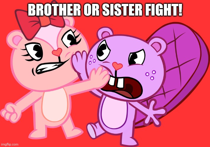 BROTHER OR SISTER FIGHT! | made w/ Imgflip meme maker