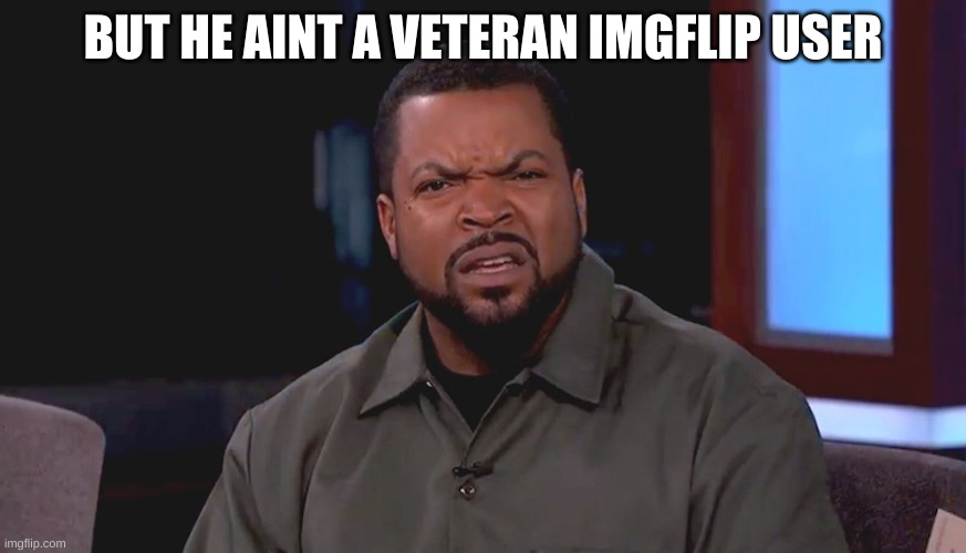 Really? Ice Cube | BUT HE AINT A VETERAN IMGFLIP USER | image tagged in really ice cube | made w/ Imgflip meme maker