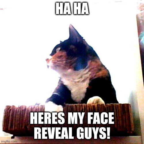 HA HA; HERES MY FACE REVEAL GUYS! | made w/ Imgflip meme maker