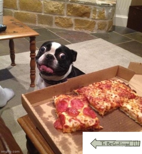 Hungry Pizza Dog | image tagged in hungry pizza dog | made w/ Imgflip meme maker