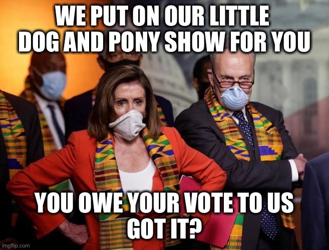 WE PUT ON OUR LITTLE 
DOG AND PONY SHOW FOR YOU YOU OWE YOUR VOTE TO US
GOT IT? | made w/ Imgflip meme maker