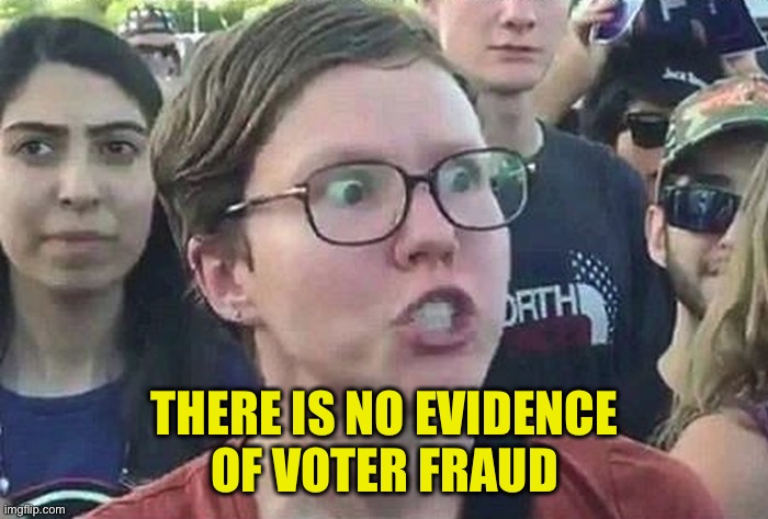 Triggered Liberal | THERE IS NO EVIDENCE
 OF VOTER FRAUD | image tagged in triggered liberal | made w/ Imgflip meme maker