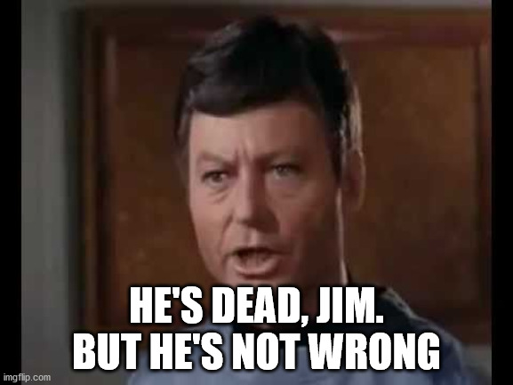 He's dead Jim | HE'S DEAD, JIM.
BUT HE'S NOT WRONG | image tagged in he's dead jim | made w/ Imgflip meme maker