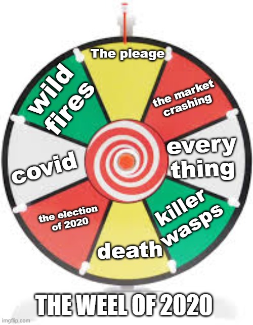 2020 | The pleage; wild fires; the market crashing; every thing; covid; killer wasps; the election of 2020; death; THE WEEL OF 2020 | image tagged in spinning wheel | made w/ Imgflip meme maker