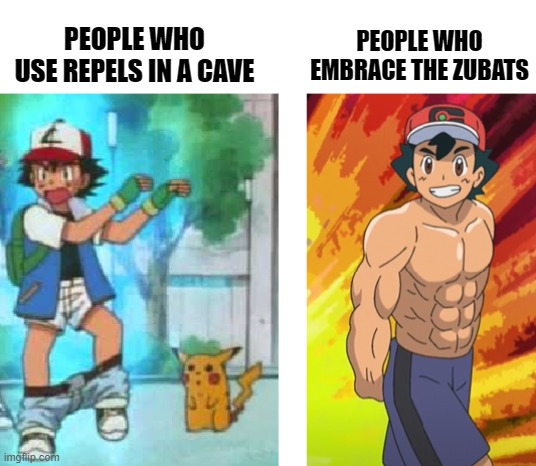 loser ash winner ash | PEOPLE WHO USE REPELS IN A CAVE; PEOPLE WHO EMBRACE THE ZUBATS | image tagged in loser ash winner ash | made w/ Imgflip meme maker