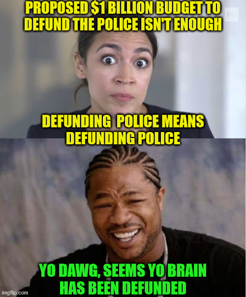 Yo AOC | PROPOSED $1 BILLION BUDGET TO
DEFUND THE POLICE ISN'T ENOUGH; DEFUNDING  POLICE MEANS
DEFUNDING POLICE; YO DAWG, SEEMS YO BRAIN
HAS BEEN DEFUNDED | image tagged in memes,yo dawg heard you,crazy alexandria ocasio-cortez,police,brain,aint nobody got time for that | made w/ Imgflip meme maker