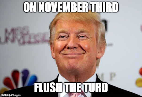 Donald trump approves |  ON NOVEMBER THIRD; FLUSH THE TURD | image tagged in donald trump approves | made w/ Imgflip meme maker
