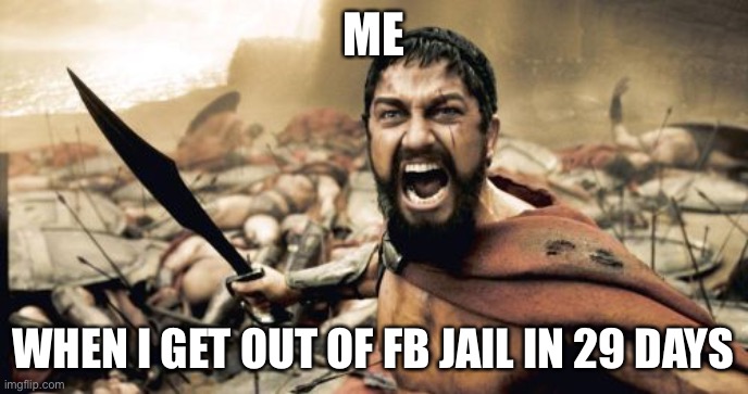 Sparta Leonidas | ME; WHEN I GET OUT OF FB JAIL IN 29 DAYS | image tagged in memes,sparta leonidas | made w/ Imgflip meme maker