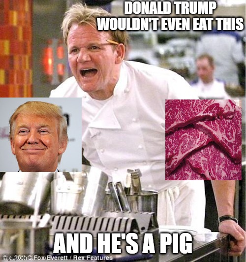 Trump eats anything | DONALD TRUMP WOULDN'T EVEN EAT THIS; AND HE'S A PIG | image tagged in memes,chef gordon ramsay | made w/ Imgflip meme maker