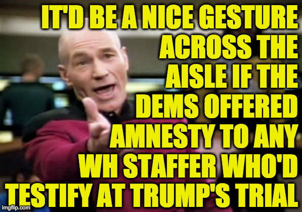 It's not really mutiny, I think, if the captain's a treasonous dog  ( : | IT'D BE A NICE GESTURE
ACROSS THE
AISLE IF THE
DEMS OFFERED
AMNESTY TO ANY
WH STAFFER WHO'D
TESTIFY AT TRUMP'S TRIAL | image tagged in memes,picard wtf,treasonous trump | made w/ Imgflip meme maker