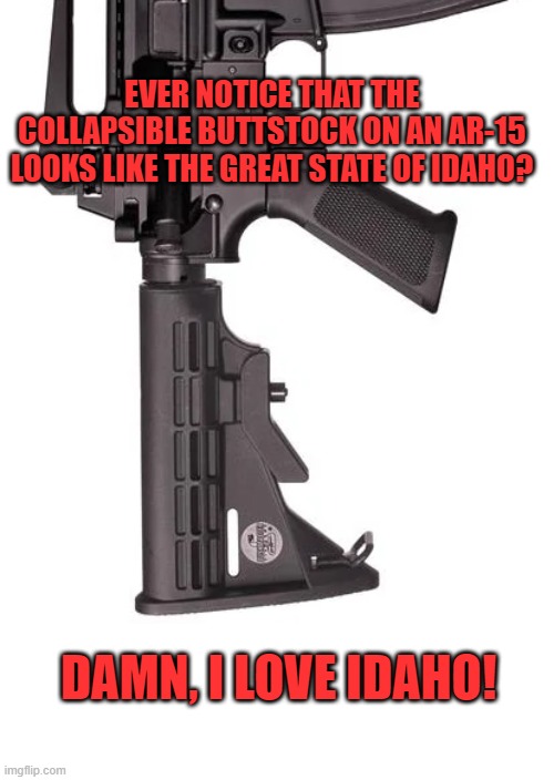 Idaho is a terrible place.  Don't come here | EVER NOTICE THAT THE COLLAPSIBLE BUTTSTOCK ON AN AR-15 LOOKS LIKE THE GREAT STATE OF IDAHO? DAMN, I LOVE IDAHO! | image tagged in ar-15,idaho,2a,second amendment,potatoes | made w/ Imgflip meme maker