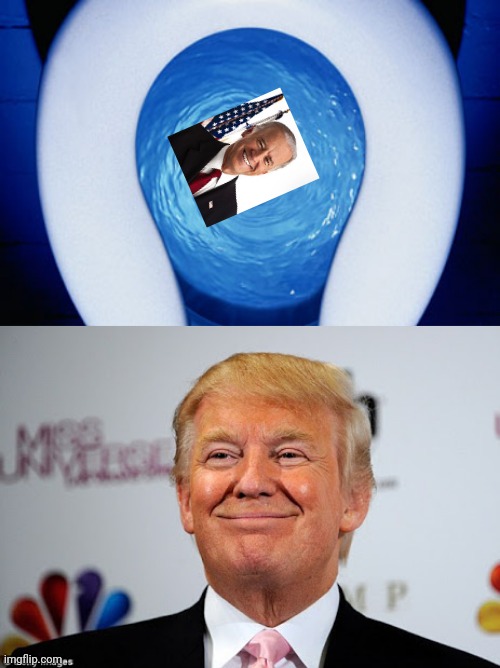 image tagged in donald trump approves,toilet flushing | made w/ Imgflip meme maker