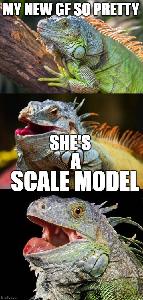 Smaller than average | MY NEW GF SO PRETTY; SHE'S; A; SCALE MODEL | image tagged in pun dog - husky | made w/ Imgflip meme maker