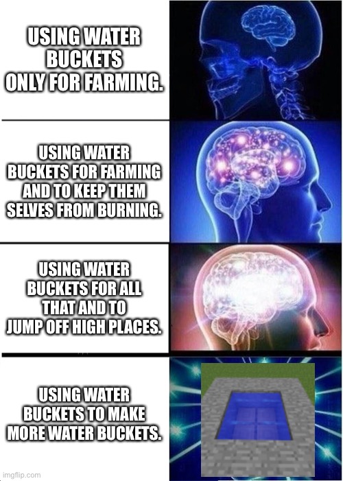 PLZ no hate | USING WATER BUCKETS ONLY FOR FARMING. USING WATER BUCKETS FOR FARMING AND TO KEEP THEM SELVES FROM BURNING. USING WATER BUCKETS FOR ALL THAT AND TO JUMP OFF HIGH PLACES. USING WATER BUCKETS TO MAKE MORE WATER BUCKETS. | image tagged in memes,expanding brain | made w/ Imgflip meme maker