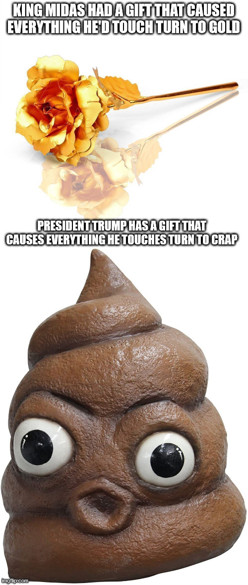 Even with the odds in favor of the house, the annoying orange bankrupted a casino! | KING MIDAS HAD A GIFT THAT CAUSED EVERYTHING HE'D TOUCH TURN TO GOLD; PRESIDENT TRUMP HAS A GIFT THAT CAUSES EVERYTHING HE TOUCHES TURN TO CRAP | image tagged in golden rose,pile of poo,donald trump | made w/ Imgflip meme maker