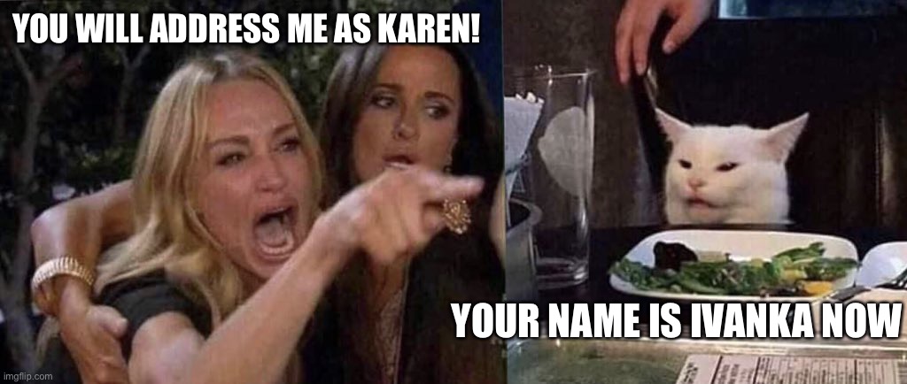 Karen gets a new name | YOU WILL ADDRESS ME AS KAREN! YOUR NAME IS IVANKA NOW | image tagged in woman yelling at cat,ivanka trump | made w/ Imgflip meme maker