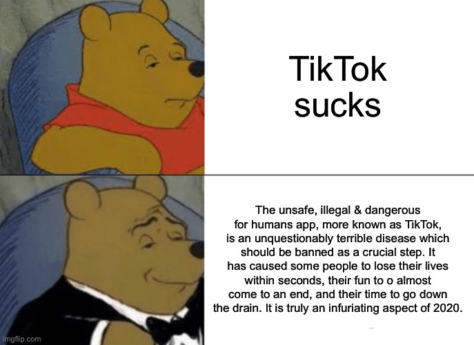 Tuxedo Winnie The Pooh | TikTok sucks; The unsafe, illegal & dangerous for humans app, more known as TikTok, is an unquestionably terrible disease which should be banned as a crucial step. It has caused some people to lose their lives within seconds, their fun to o almost come to an end, and their time to go down the drain. It is truly an infuriating aspect of 2020. | image tagged in memes,tuxedo winnie the pooh | made w/ Imgflip meme maker