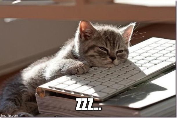 Bored Keyboard Cat | ZZZ... | image tagged in bored keyboard cat | made w/ Imgflip meme maker