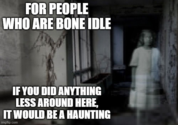 haunted hospital ghost | FOR PEOPLE WHO ARE BONE IDLE; IF YOU DID ANYTHING LESS AROUND HERE, IT WOULD BE A HAUNTING | image tagged in haunted hospital ghost | made w/ Imgflip meme maker