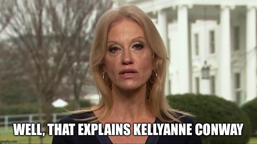 Kellyanne Conway alternative facts | WELL, THAT EXPLAINS KELLYANNE CONWAY | image tagged in kellyanne conway alternative facts | made w/ Imgflip meme maker