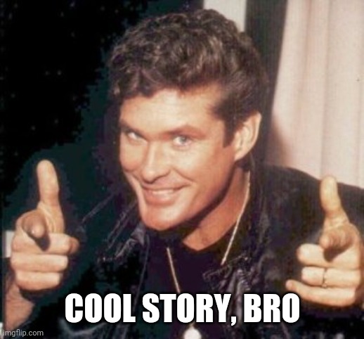 COOL STORY, BRO | image tagged in david hasselhoff | made w/ Imgflip meme maker