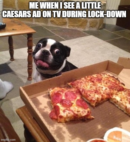 I love Little Caesars soooooooooooooo much omg | ME WHEN I SEE A LITTLE CAESARS AD ON TV DURING LOCK-DOWN | image tagged in hungry pizza dog,little caesars,pizza,pizza hut,pizza time,coming out pizza | made w/ Imgflip meme maker