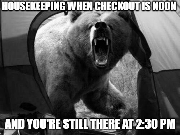 Housekeeping | HOUSEKEEPING WHEN CHECKOUT IS NOON; AND YOU'RE STILL THERE AT 2:30 PM | image tagged in bears,memes,funny,checkout,fun | made w/ Imgflip meme maker