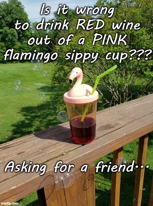 Is it wrong??? | Is it wrong to drink RED wine out of a PINK flamingo sippy cup??? Asking for a friend... | image tagged in drink,red wine,pink flamingo,sippy cup | made w/ Imgflip meme maker