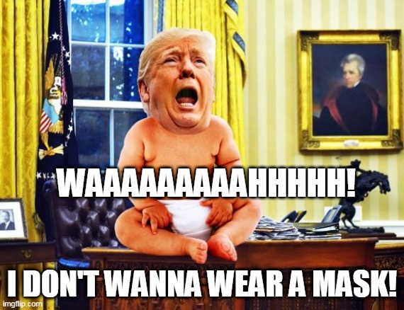 Waaaah! Baby Trump Don't Wanna Wear A MASK! | WAAAAAAAAAHHHHH! I DON'T WANNA WEAR A MASK! | image tagged in politics,trump,infant,mask | made w/ Imgflip meme maker