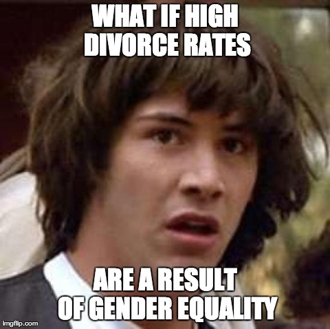Conspiracy Keanu Meme | WHAT IF HIGH DIVORCE RATES ARE A RESULT OF GENDER EQUALITY | image tagged in memes,conspiracy keanu | made w/ Imgflip meme maker