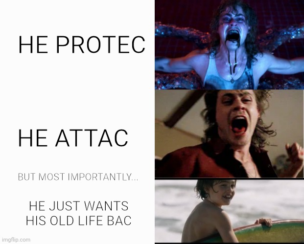 For fans of stranger things | HE PROTEC; HE ATTAC; BUT MOST IMPORTANTLY... HE JUST WANTS HIS OLD LIFE BAC | image tagged in kinda sad,stranger things,dead meme | made w/ Imgflip meme maker