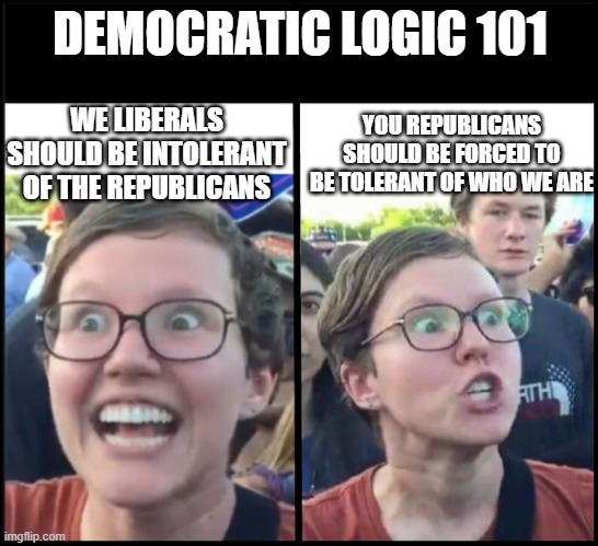 Democrat Logic 101 | DEMOCRATIC LOGIC 101; WE LIBERALS SHOULD BE INTOLERANT OF THE REPUBLICANS; YOU REPUBLICANS SHOULD BE FORCED TO BE TOLERANT OF WHO WE ARE | image tagged in when liberal woman hears,tolerance,intolerance,crazy liberal,democrat,republican | made w/ Imgflip meme maker