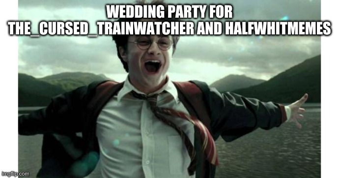 HARRY POTTER HAPPY | WEDDING PARTY FOR THE_CURSED_TRAINWATCHER AND HALFWHITMEMES | image tagged in harry potter happy | made w/ Imgflip meme maker