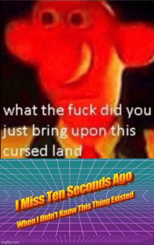 image tagged in what the fuck did you just bring upon this cursed land,i miss ten seconds ago | made w/ Imgflip meme maker
