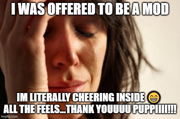 First World Problems | I WAS OFFERED TO BE A MOD; IM LITERALLY CHEERING INSIDE 😁 
ALL THE FEELS...THANK YOUUUU PUPPIIII!!! | image tagged in memes,first world problems | made w/ Imgflip meme maker