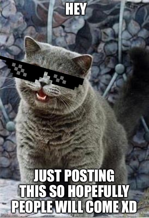 I can has cheezburger cat | HEY; JUST POSTING THIS SO HOPEFULLY PEOPLE WILL COME XD | image tagged in i can has cheezburger cat | made w/ Imgflip meme maker