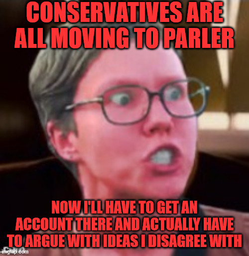 Literally the worst thing to happen in 2020! | CONSERVATIVES ARE ALL MOVING TO PARLER; NOW I'LL HAVE TO GET AN ACCOUNT THERE AND ACTUALLY HAVE TO ARGUE WITH IDEAS I DISAGREE WITH | image tagged in conservatives,twitter,account,social media,leftist,angry liberal | made w/ Imgflip meme maker
