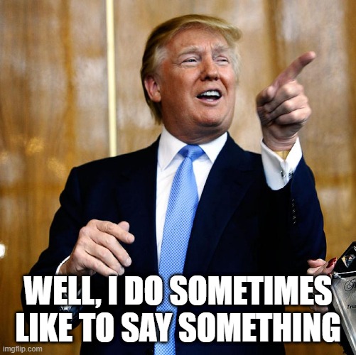 Donal Trump Birthday | WELL, I DO SOMETIMES LIKE TO SAY SOMETHING | image tagged in donal trump birthday | made w/ Imgflip meme maker