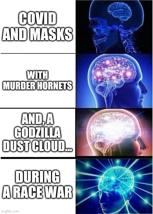 A Conversation from 2019 | COVID AND MASKS; WITH MURDER HORNETS; AND, A GODZILLA DUST CLOUD... DURING A RACE WAR | image tagged in memes,expanding brain,fun | made w/ Imgflip meme maker