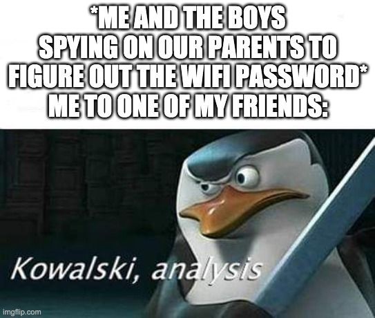 Wifi for all!!!! | *ME AND THE BOYS SPYING ON OUR PARENTS TO FIGURE OUT THE WIFI PASSWORD*
ME TO ONE OF MY FRIENDS: | image tagged in kowalski analysis | made w/ Imgflip meme maker