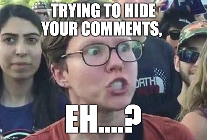 Triggered Liberal | TRYING TO HIDE
YOUR COMMENTS, EH....? | image tagged in triggered liberal | made w/ Imgflip meme maker